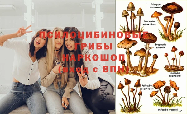 героин Алексин