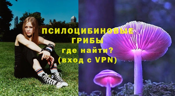 стафф Алзамай