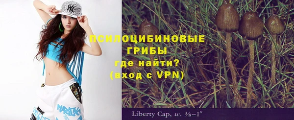 героин Алексин