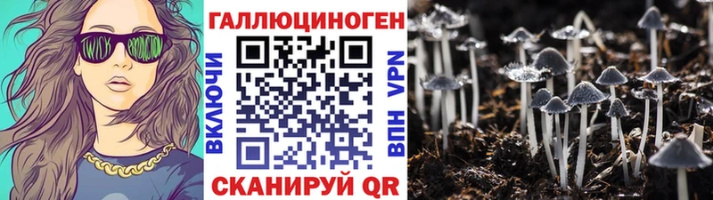Псилоцибиновые грибы GOLDEN TEACHER  где купить наркотик  Краснослободск 